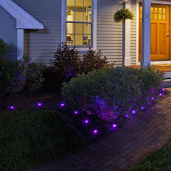 Sylvania SMART+ PlugIn LED Pathway Light & Reviews Wayfair